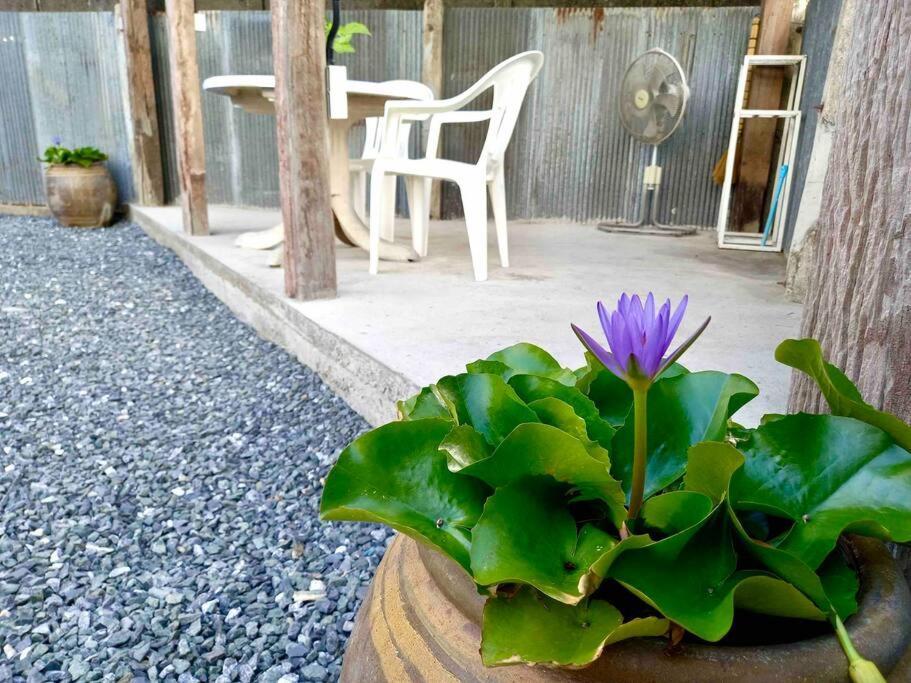 Grandma'S House Villa Chiang Mai Luaran gambar